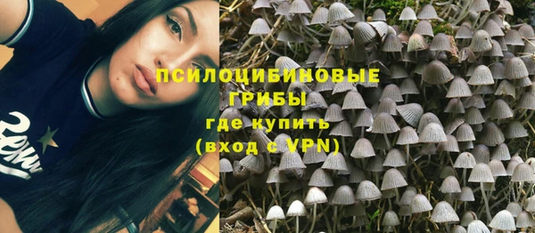 COCAINE Богородск