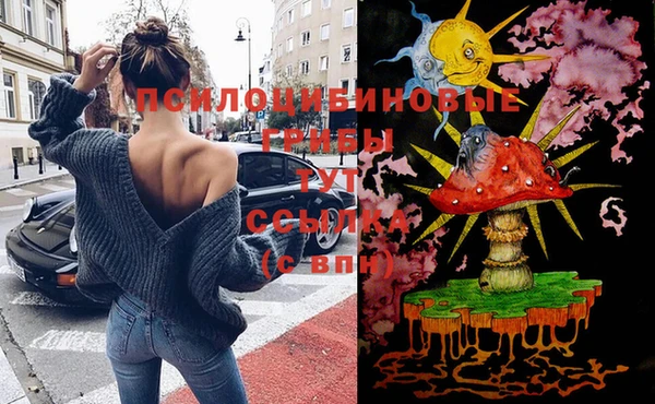 кокаин перу Богданович
