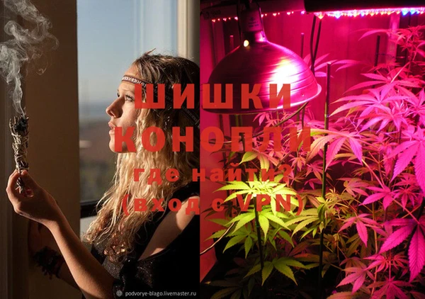 кокаин перу Богданович