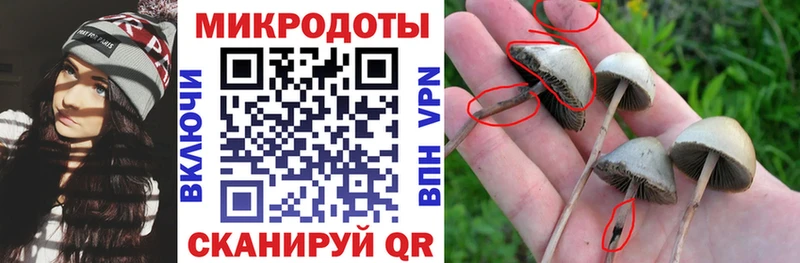 Купить Бабушкин Псилоцибиновые грибы ЛСД